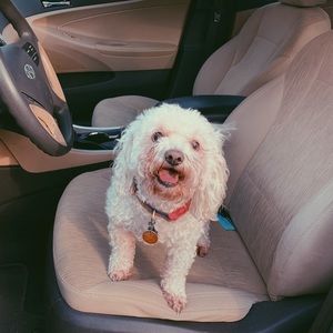 Meet your Posher, Abigail